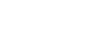 ICAMI